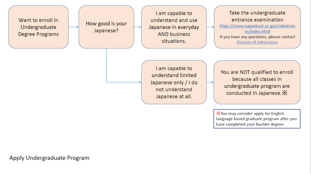 undergraduate_procedure