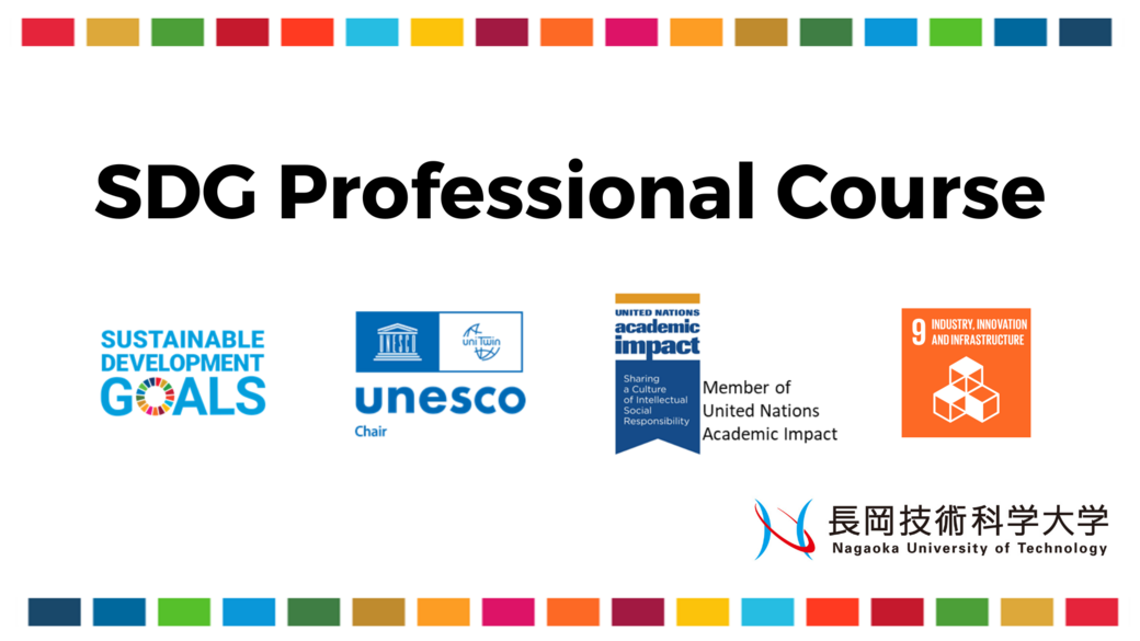 SDG Professional Course