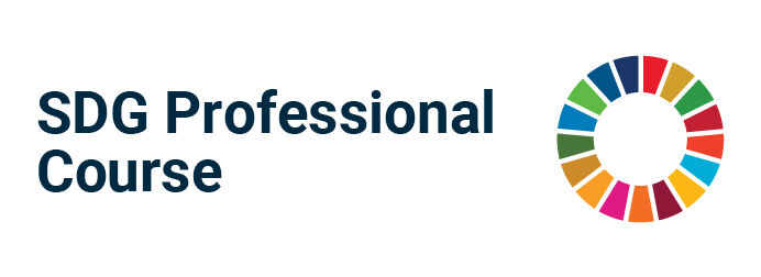 SDG Professional Course