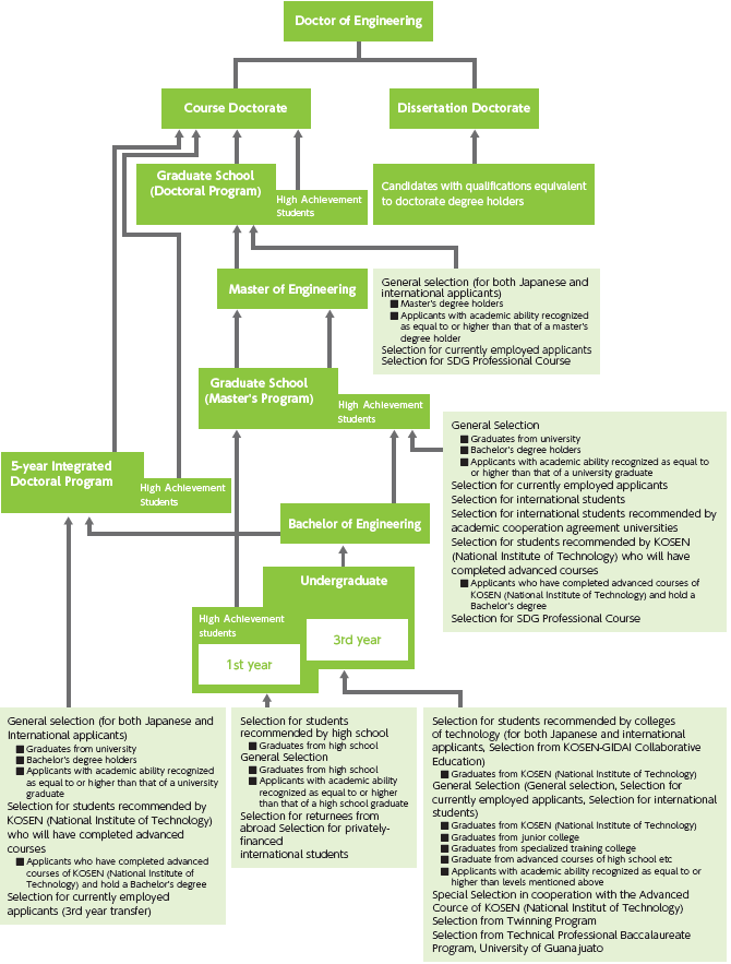 Organization of the Academic Programs chart