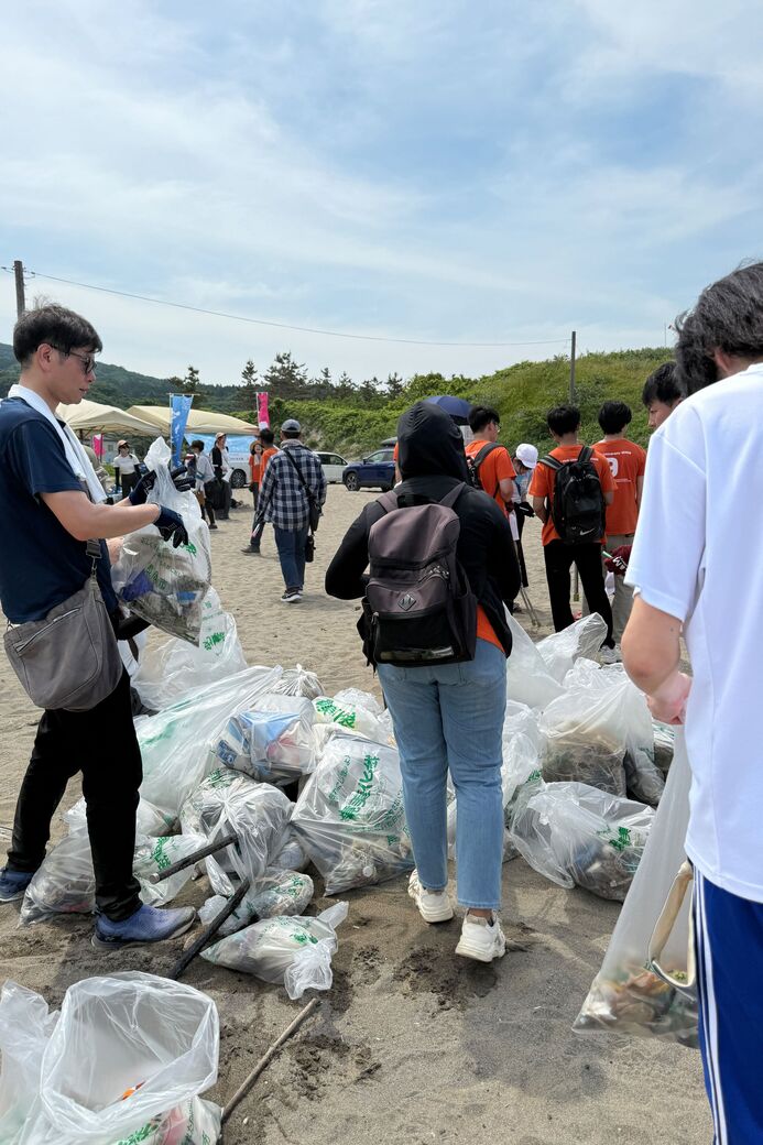 Cleaning up the beach
