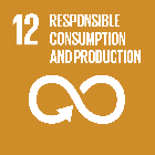 12. RESPONSIBLE CONSUMPTION AND PRODUCTION