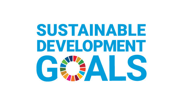 Towards Achieving the SDGs 画像