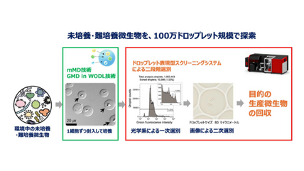 世界初、ドロップレット表現型スクリーニングシステムを開発しました―未培養・難培養微生物の100万検体規模探索の実現へ― 画像