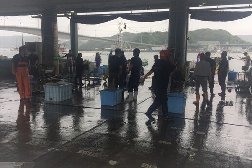 漁港視察の様子(2nd ISLife)