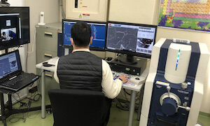 現地利用の様子