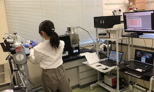 完全遠隔利用の様子